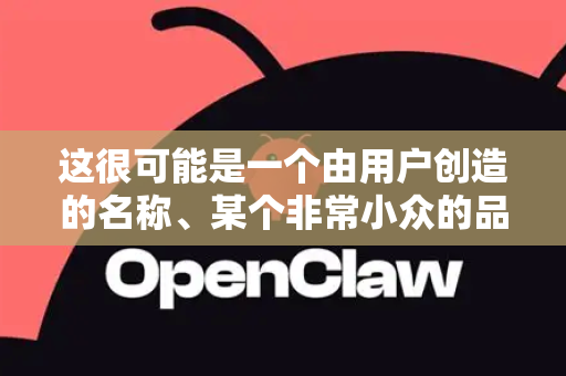 这很可能是一个由用户创造的名称、某个非常小众的品牌、某个开源项目、众筹平台上的概念产品，或者是某个应用程序/游戏的手表版本