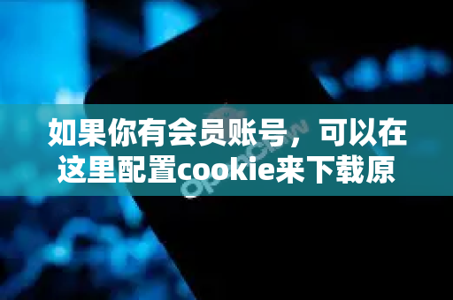 如果你有会员账号，可以在这里配置cookie来下载原图
