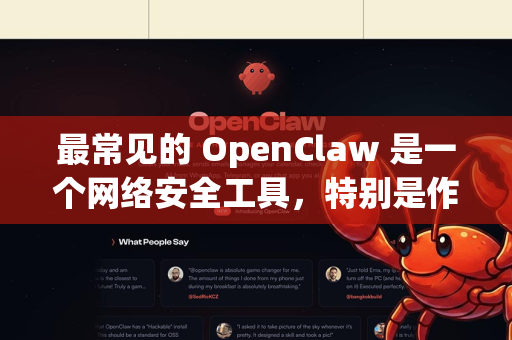 最常见的 OpenClaw 是一个网络安全工具，特别是作为著名攻击面管理平台 Sn1per 的一个集成模块（原名 PeepingTom）用于屏幕截图和目录枚举