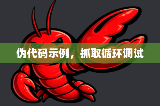 伪代码示例，抓取循环调试