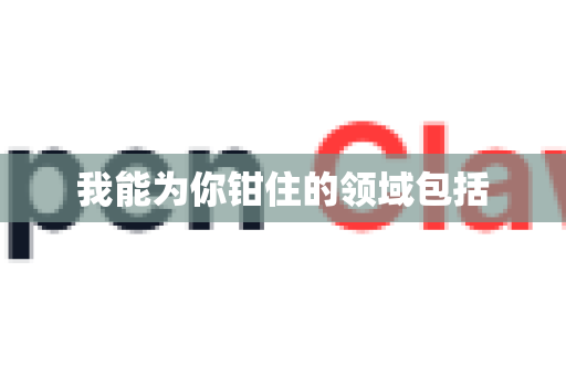 我能为你钳住的领域包括